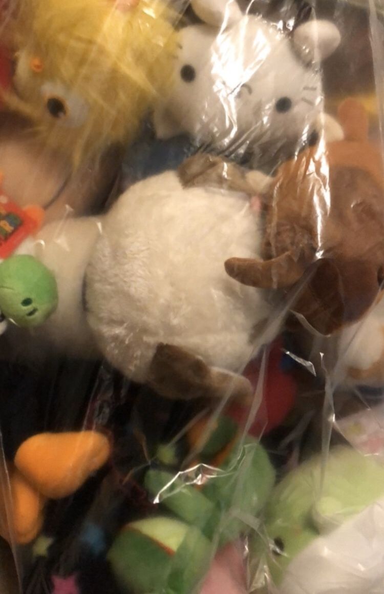 **PLUSHIES FOR SALE LOTS**