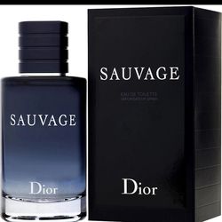 Dor sauvage edt 3.4