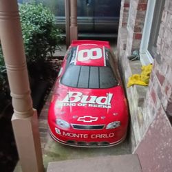Dale Earnhardt Jr Collectible