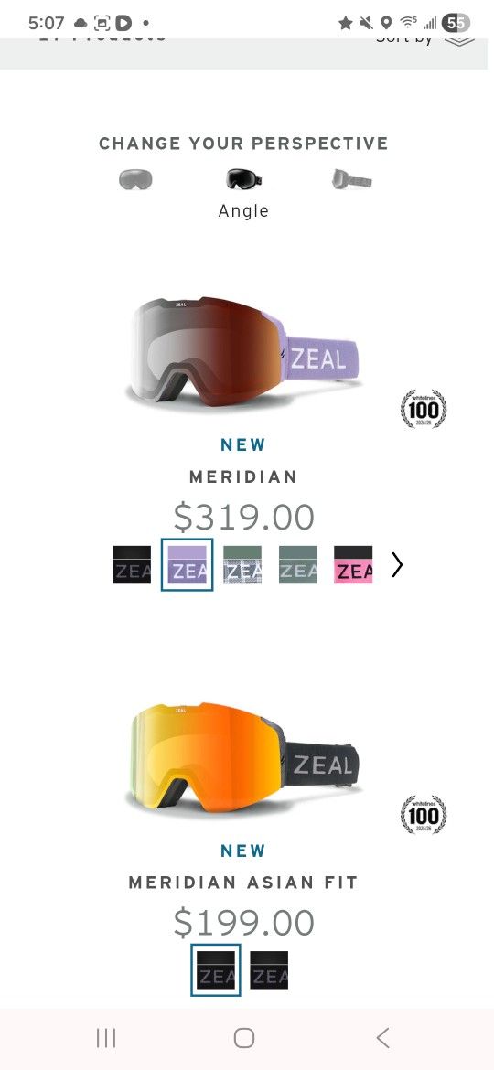 Zeal Goggles