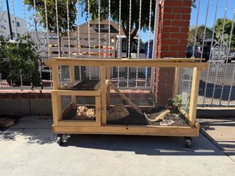 Outdoor (Reptile) Enclosures