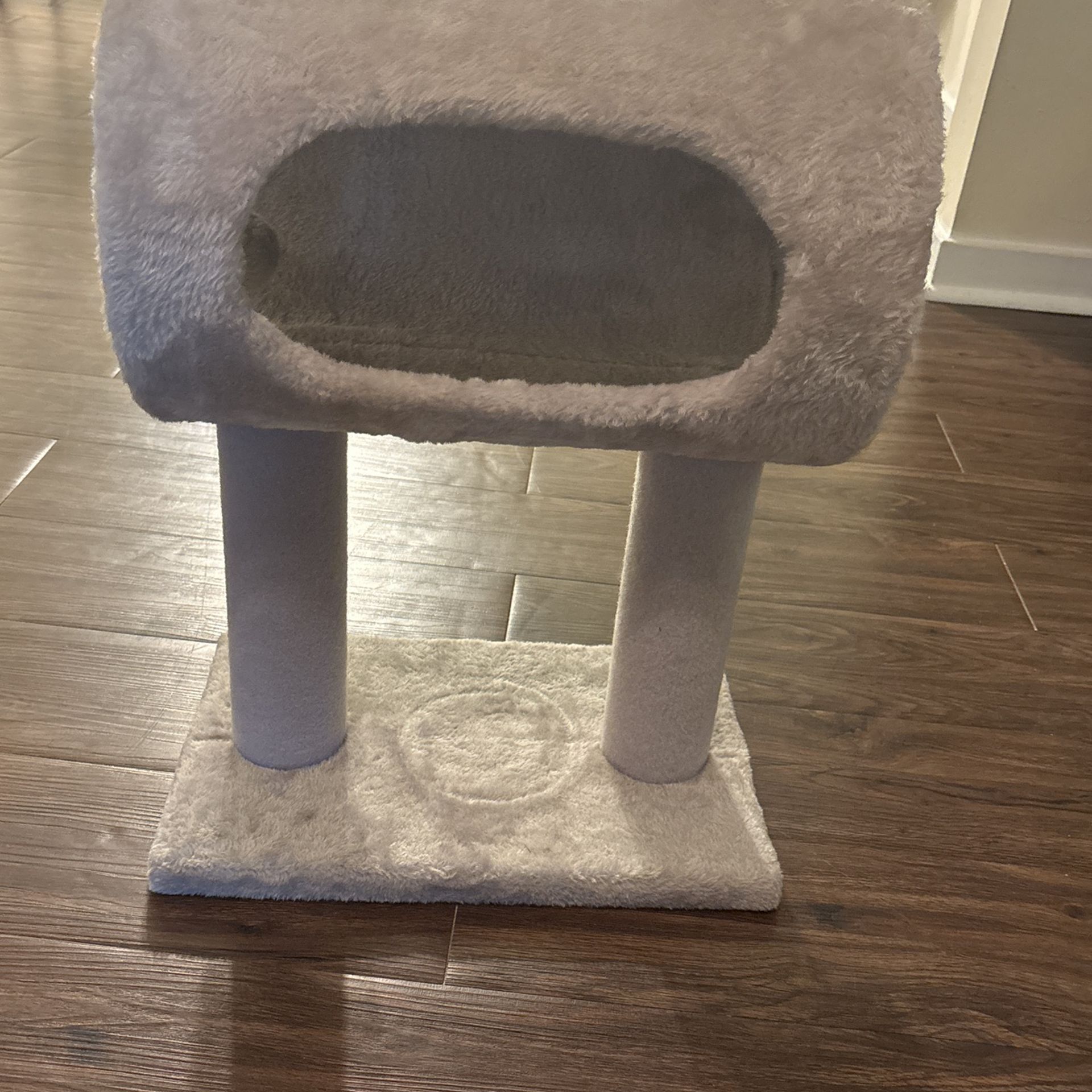 Cat House