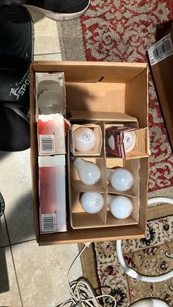 Light bulbs 100 watt and misc as described