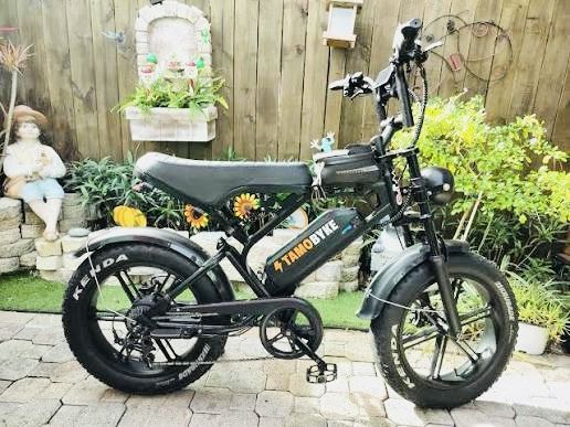 Fat Tire E Bike