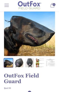 Out Fox Mask For Dogs (Medium)