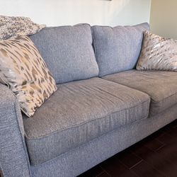 Light gray couch