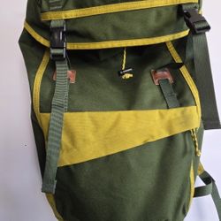 Patagonia Backpack 
