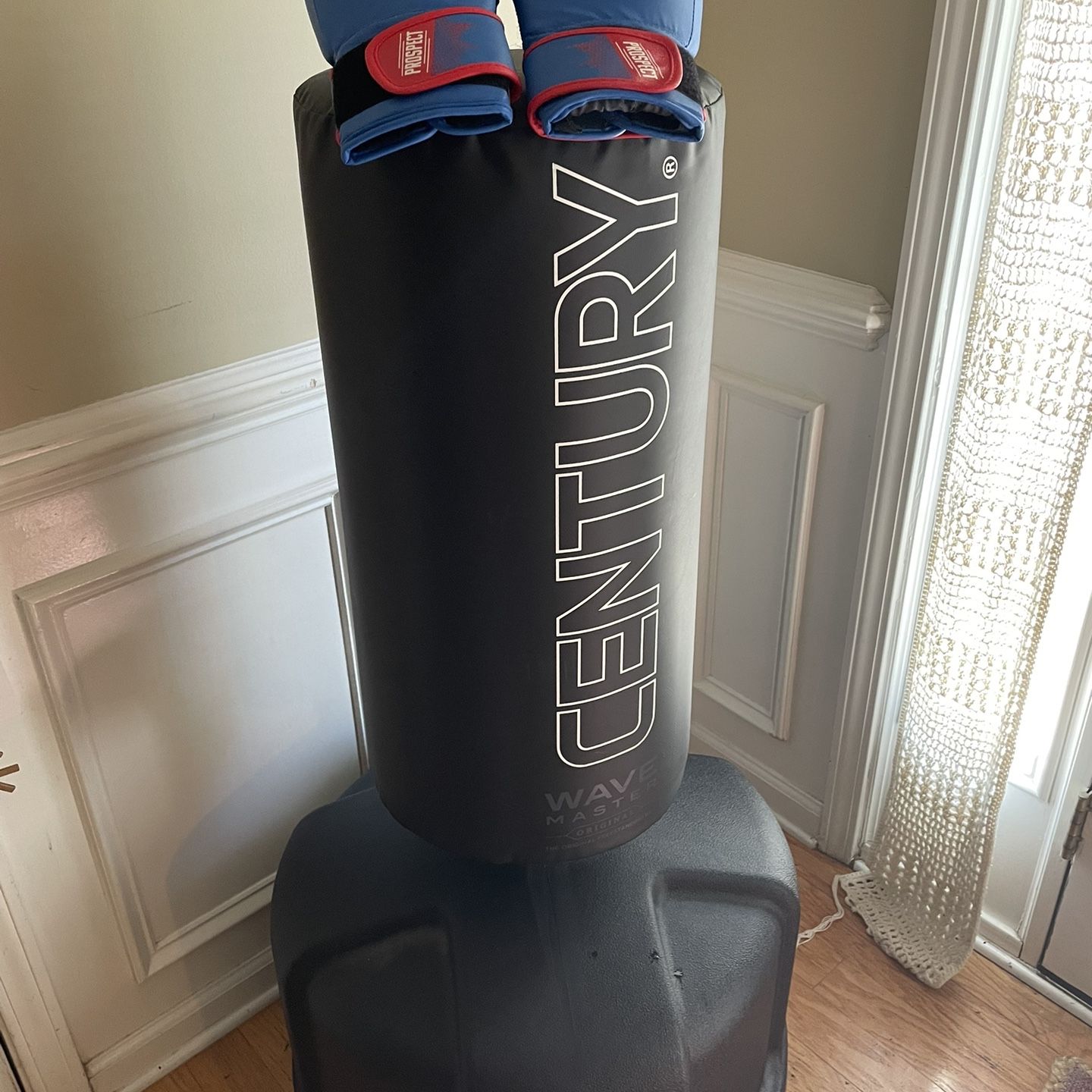 Century Wavemaster Punching Training Bag