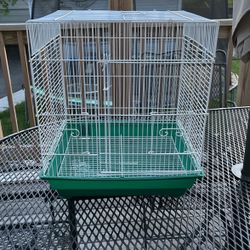 Bird Cage 