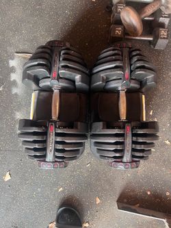 Bowflex Dumbbell weights weights 1090
