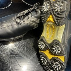 GOLF SHOE, FootJoy, New, Size 10.5, sturdy yet very lightweight, $69
