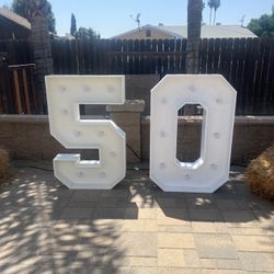 4Ft Numbers W Lights 