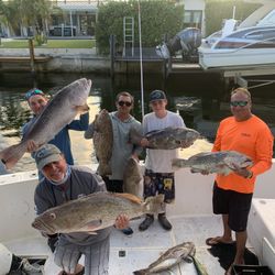 Fishing Charter Forr lauderdale Beach 