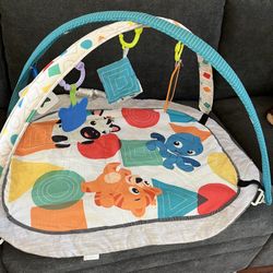 Baby Playmat