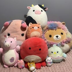 Squishmallows 