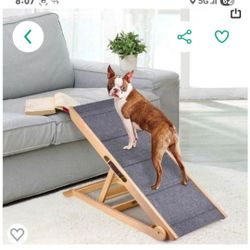 dog ramp