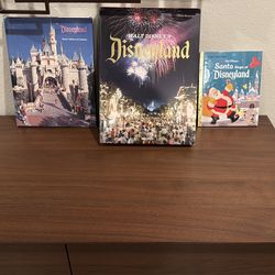 Disney 3 Disneyland Books