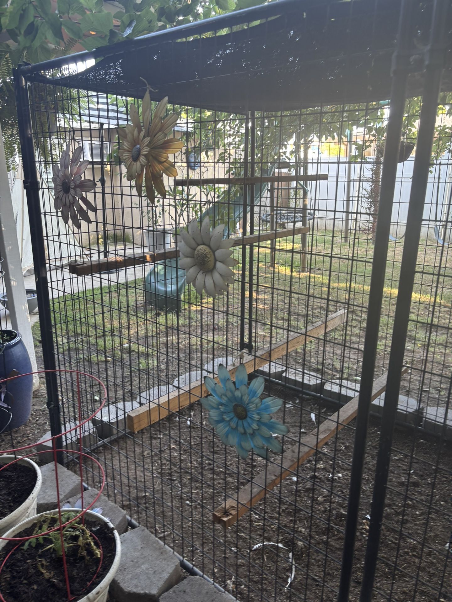 Chicken Coop