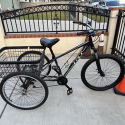 Tricycle GT tire size 24