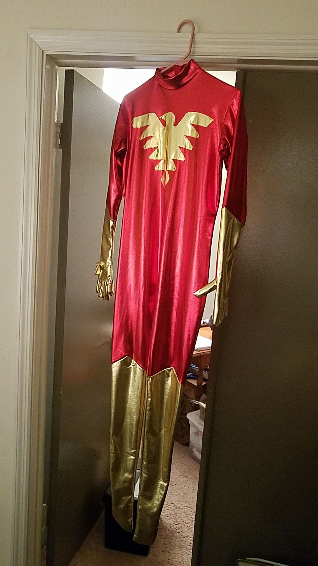Jean Grey Phoenix costume -- REDUCED PRICE