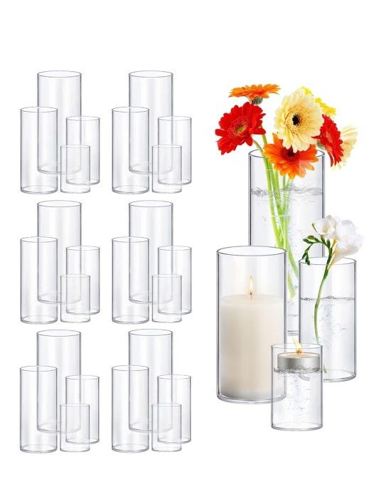 24 Pack Thick Glass Cylinder Vases
