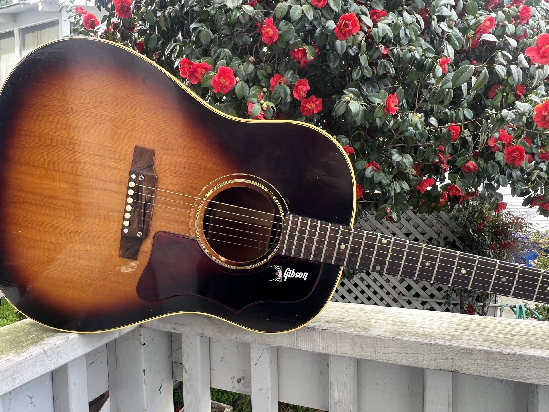 GIBSON J45 ADJ from 1965