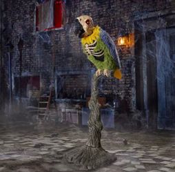 Rotwing Parrot Animatronic New Sold Out