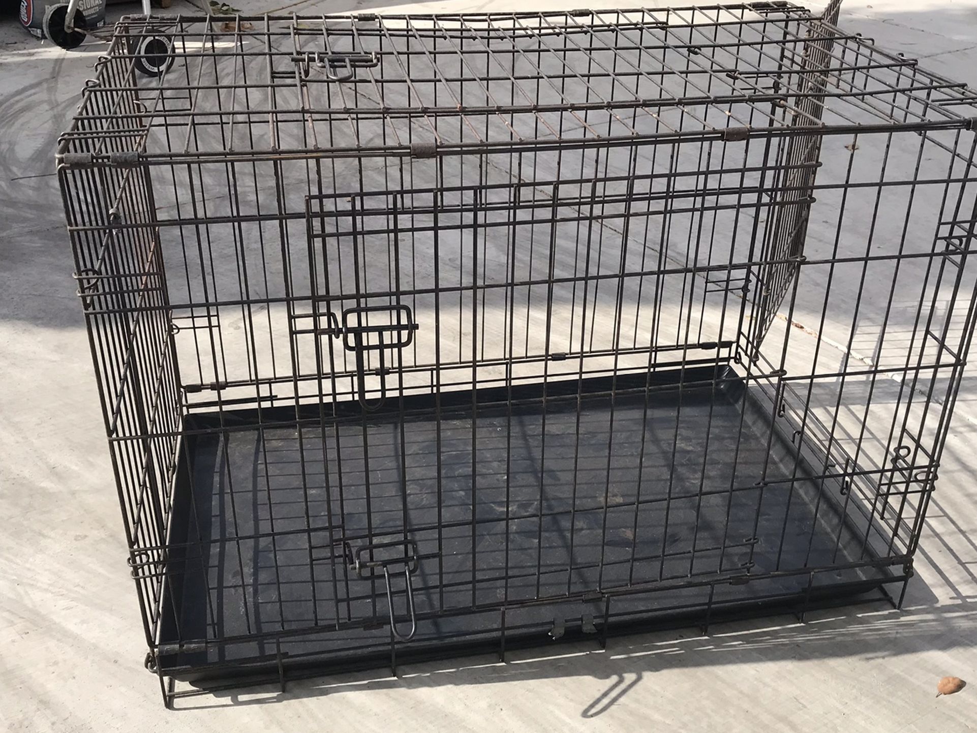 Collapsible Wire Dog Crate, 36 inch