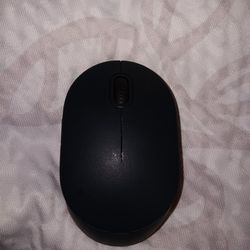 Wireless Mouse PC
