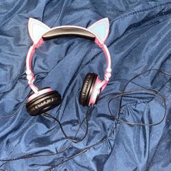 Pink Cat Eat Headphones 