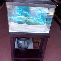 Fish Tank 20g