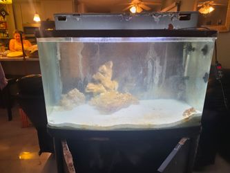 Jebo fish tank 40 gallon