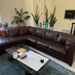 Brown Sectional