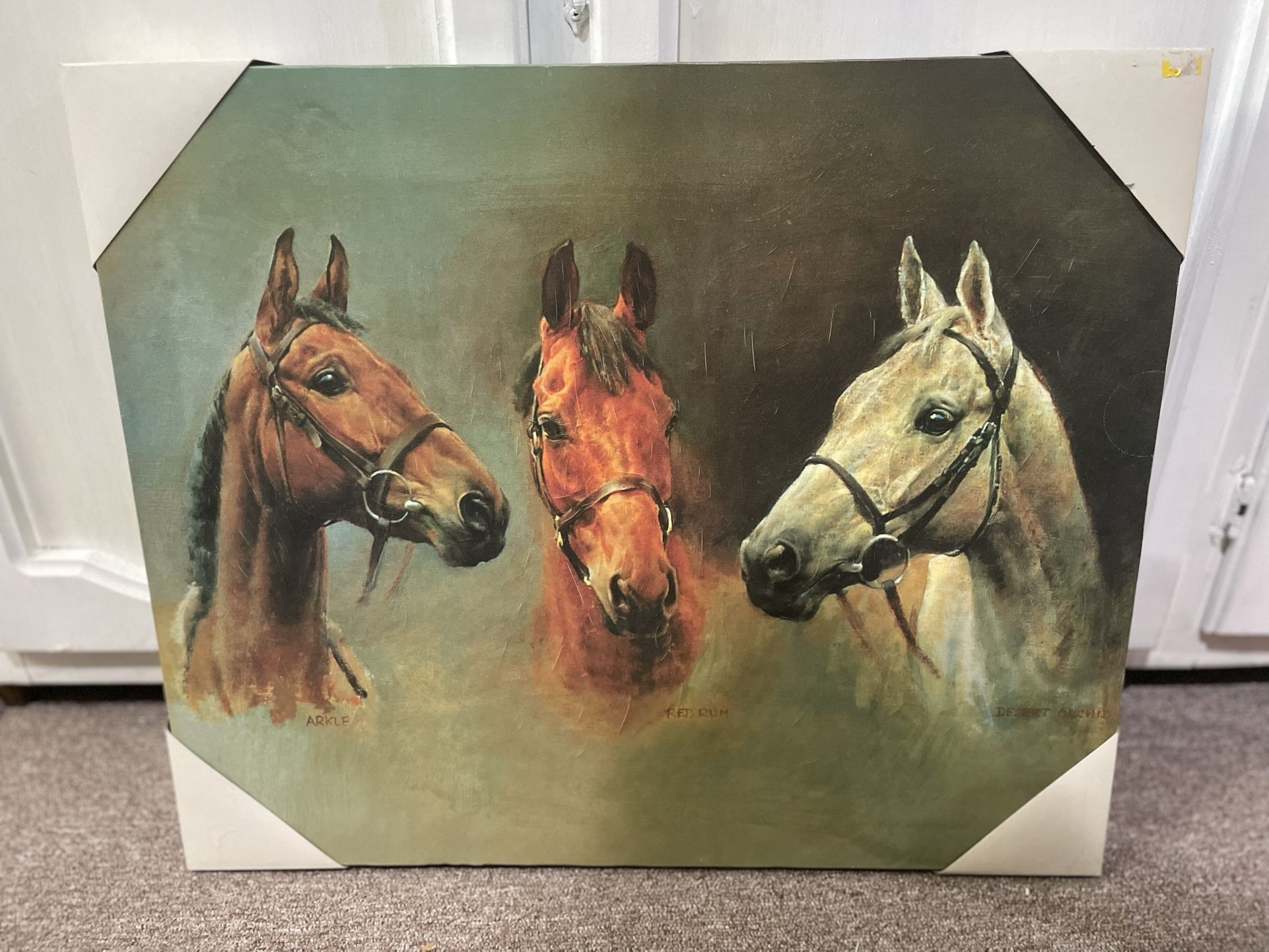 New - 20 X 24