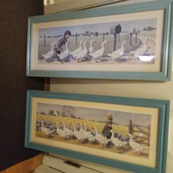 Two Duck Photos Framed