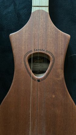 Seagull Instrument
