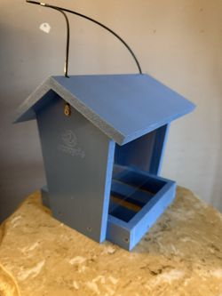 Bird Feeling