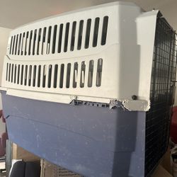 Large Dog Crate 