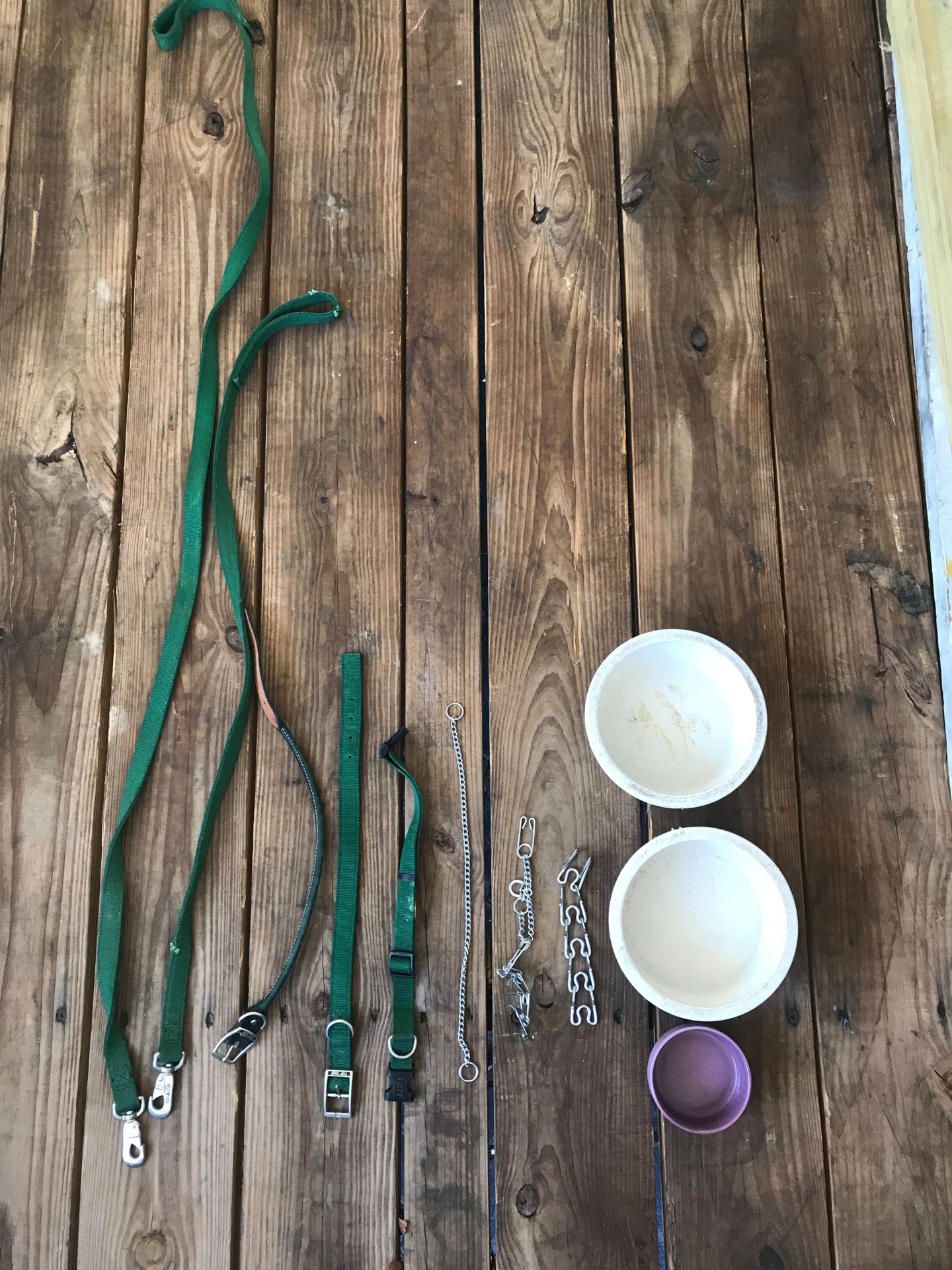 Dog collars, leashes and bowls