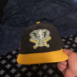 Fitted Hat 7 3/8