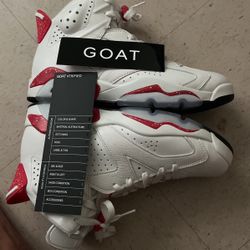 Jordan’s Retro 6 With Mike Hardwood Classic And Magic Hardwood Classic Jersey 