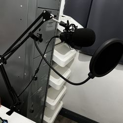 Microphone And Mount