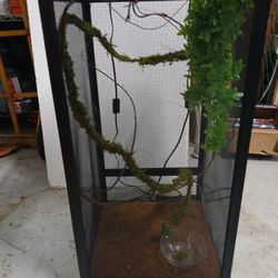 Chameleon cage