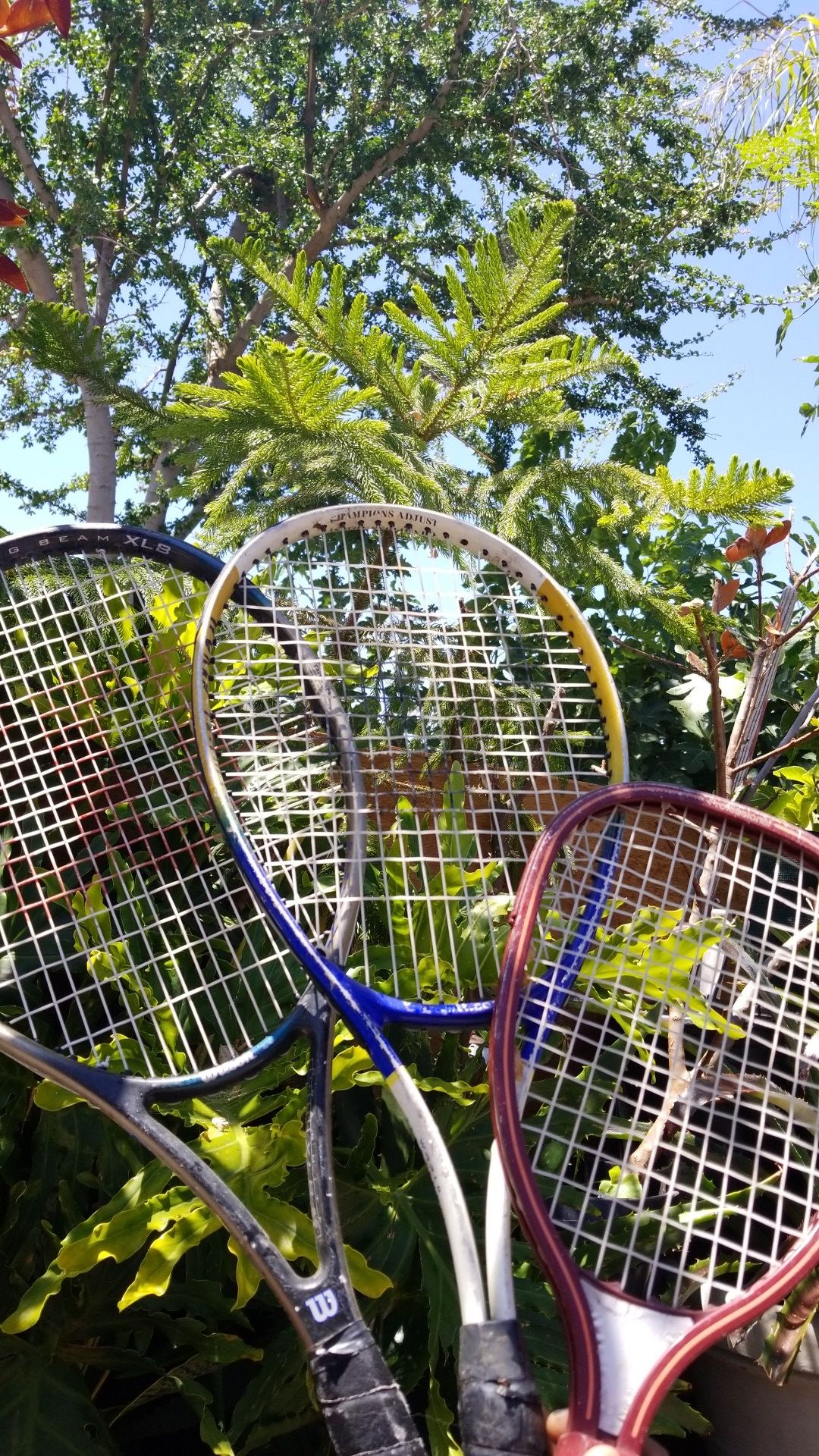 3 tennis rackets