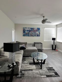 Gray Plush Sectional Like Couch