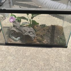 Fish Tank