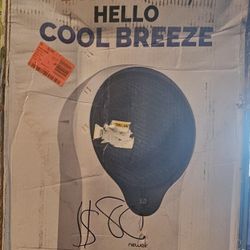 Fan
