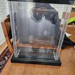Doll Display Case