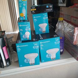 All Type Of Bulbs