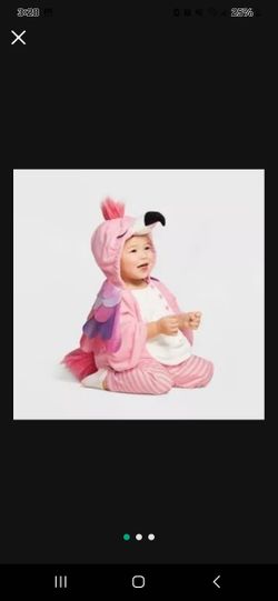 Infant Halloween Costume Pullover
Top Flamingo 12- 18 M - Hyde & EEK